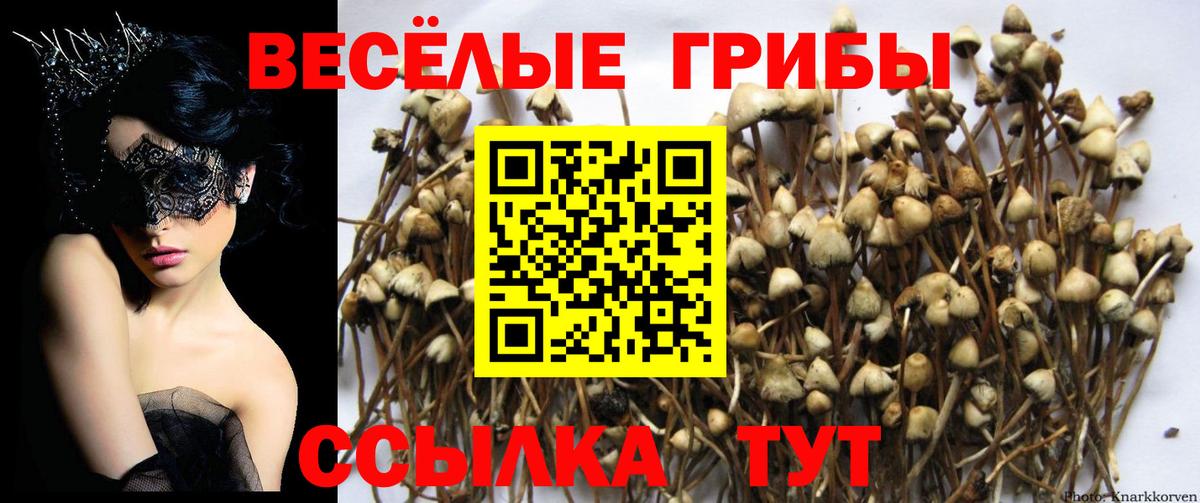 Псилоцибиновые грибы мухоморы  Псилоцибиновые грибы мухоморы  Йошкар-Ола  как найти закладки  Вход с VPN 