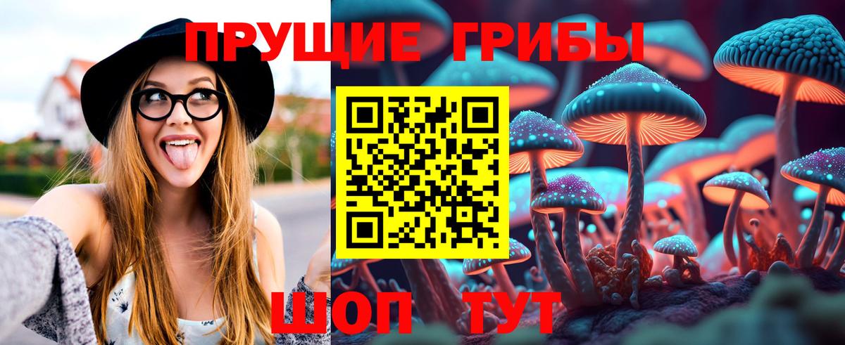 Псилоцибиновые грибы Cubensis Йошкар-Ола